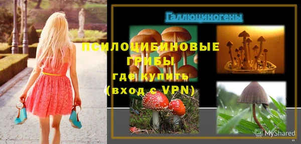 круглые Гусь-Хрустальный