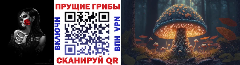 Галлюциногенные грибы ЛСД  Южно-Сахалинск 